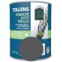 Esmalte al agua gris medio alto brillo 0,75 lt. Tollens