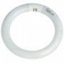 TUBO FLUORESCENTE CIRCULAR T9 40W G10Q GSC EVOLUTION