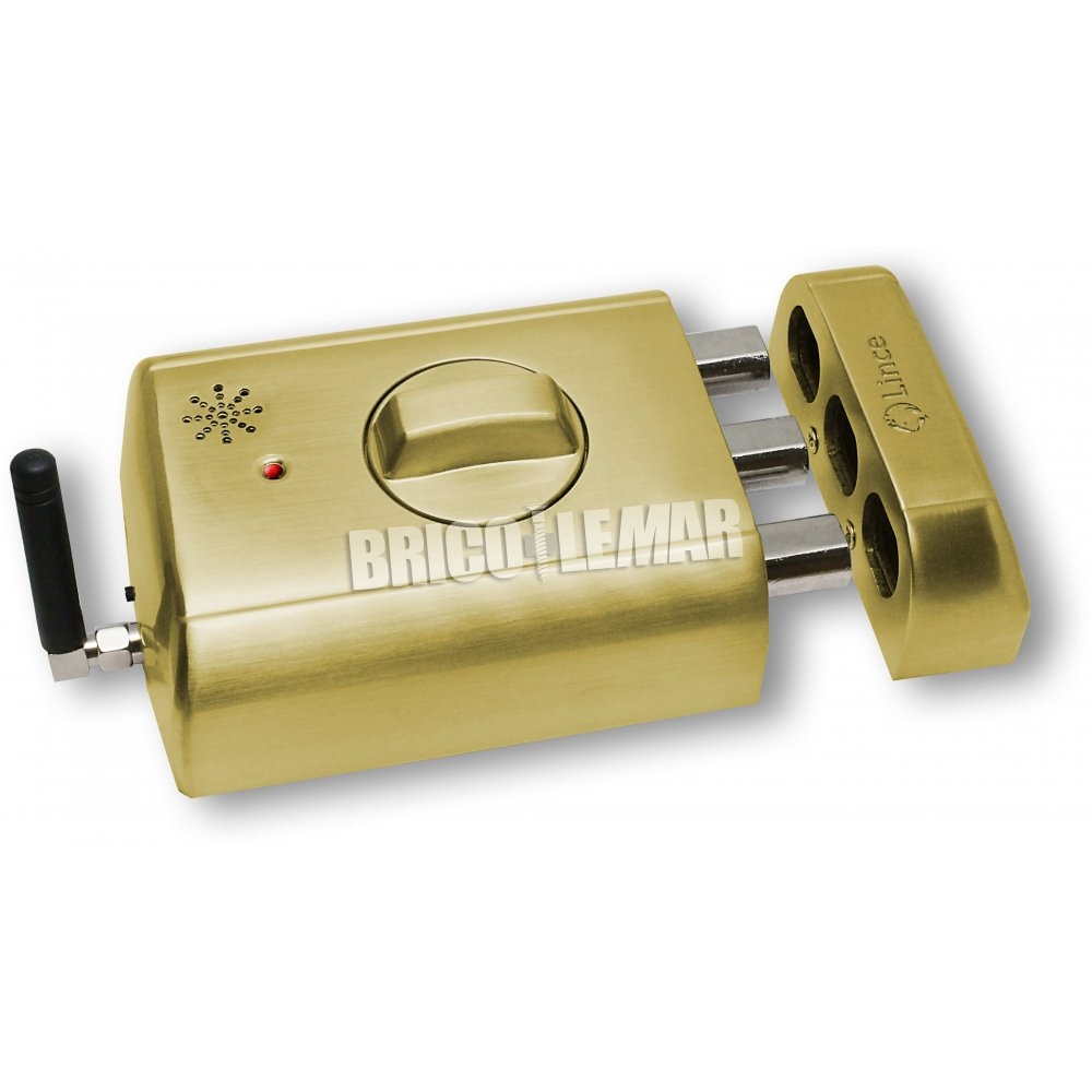 Obligatorio cobertura Superficie lunar ▷ Comprar Cerrojo electrónico \\"invisible\\" Supratronik 4940-TK oro...