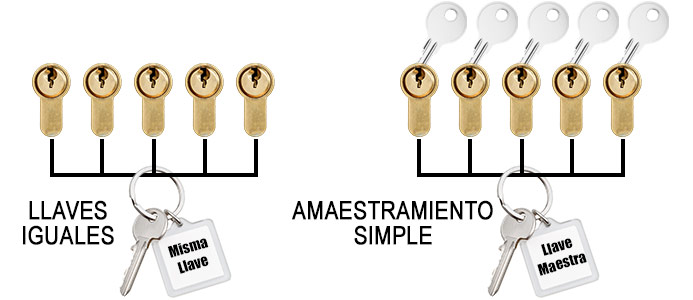 igualamiento y amaestramiento