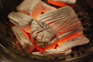 Los carbones de las parrillas presentan desventajas claras como que tardan mucho en encender y coger temperatura por lo que no son adecuadas para preparar una barbacoa rápida, además de eso dejan muchos restos de suciedad y cenizas