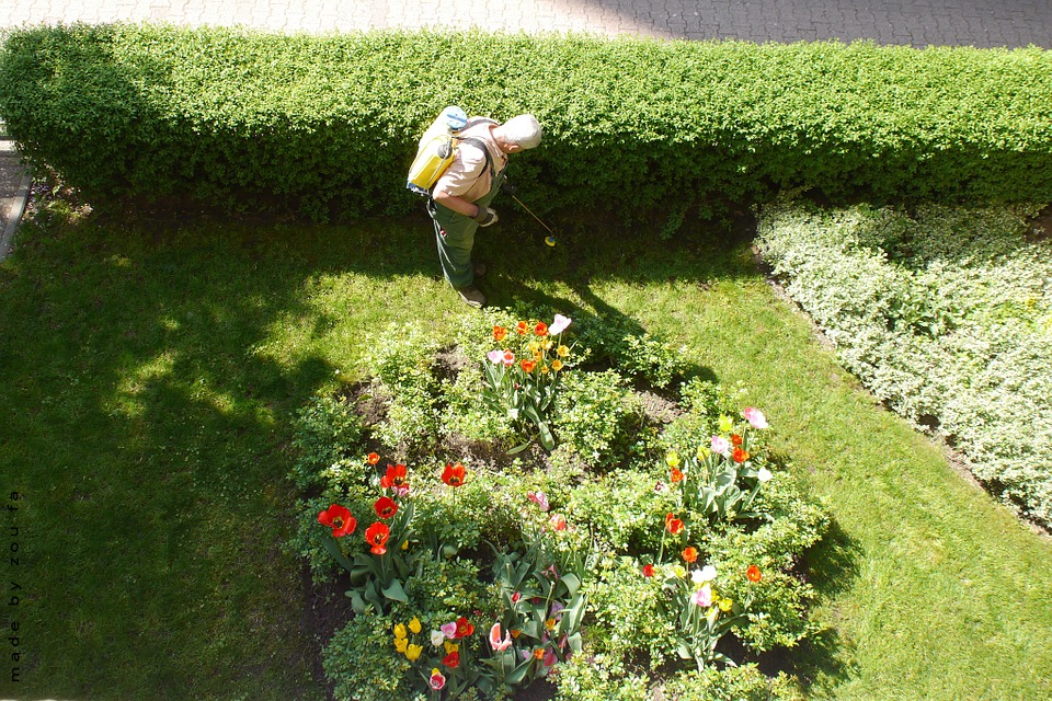 Tipos de pulverizadores para jardín, para realizar un mantenimiento y rociar tratamientos a las plantas del jardín con el mejor tipo de pulverizador de acuerdo a las necesidades de uso.