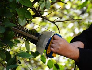 Son muchas as diferencias entre los diversos tipos de cortasetos que se deben tomar en cuenta antes de decidir qué cortasetos comprar