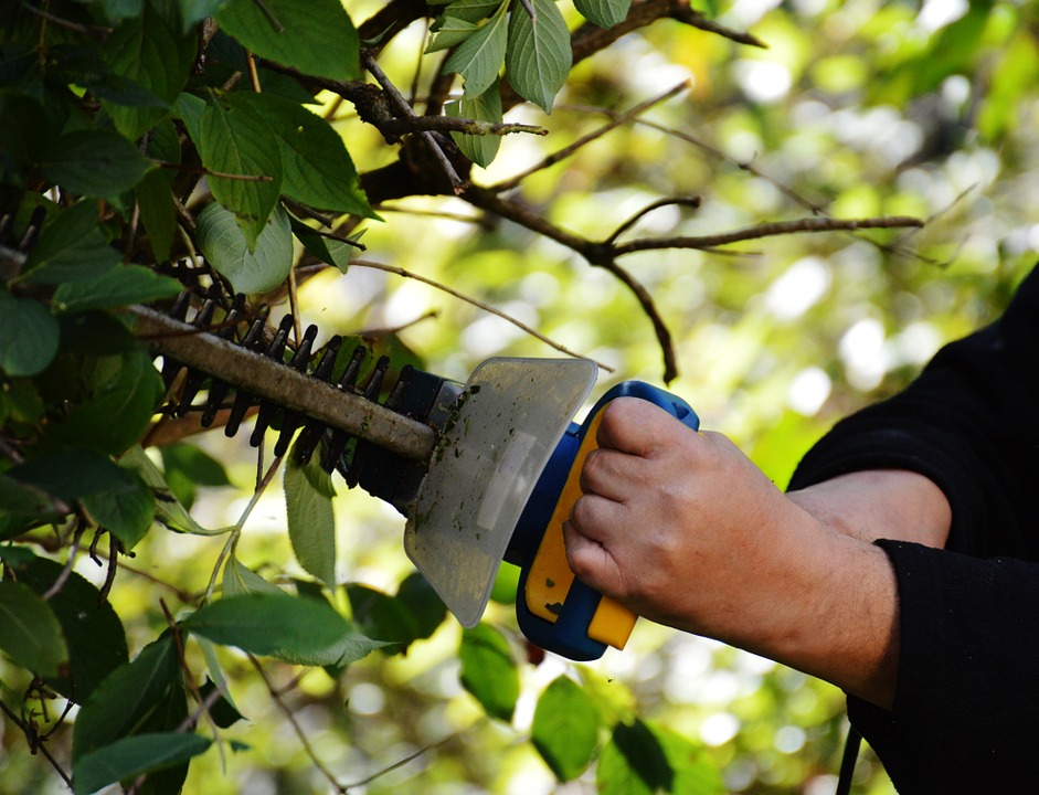 el propósito no se dio cuenta Cuadrante Diferencias entre los diversos tipos de cortasetos | Bricolemar Blog