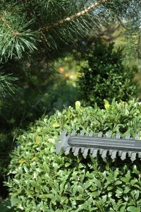 Antes de saber qué cortasetos comprar, se deben tener en cuenta que un cortasetos es una herramienta de jardín dedicada a dar forma y recortar plantas de pequeño tamaño como arbustos y setos 