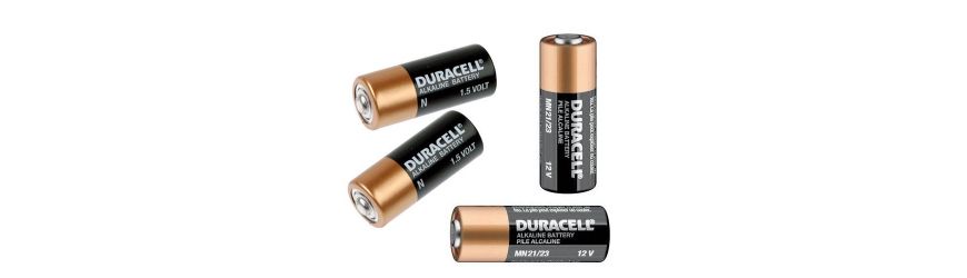 ▷ Comprar PILA MANDO MN9100 1.5V (BLT 2 UDS) DURACELL SECURITY