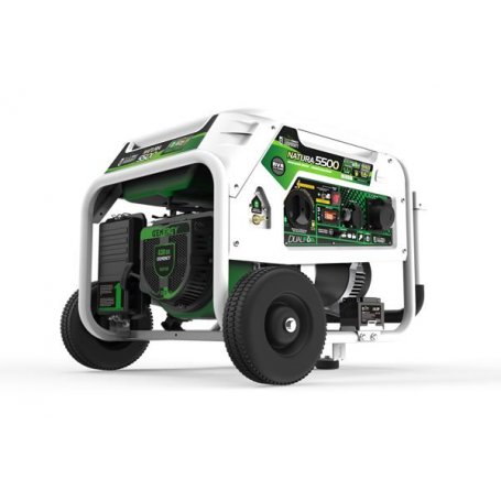 Gas und Benzin-Generator 5500W 230V Natura 5500 E-Beginn