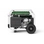 Gas und Benzin-Generator 5500W 230V Natura 5500 E-Beginn