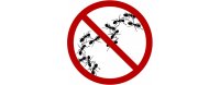 Eliminieren Ameisen
