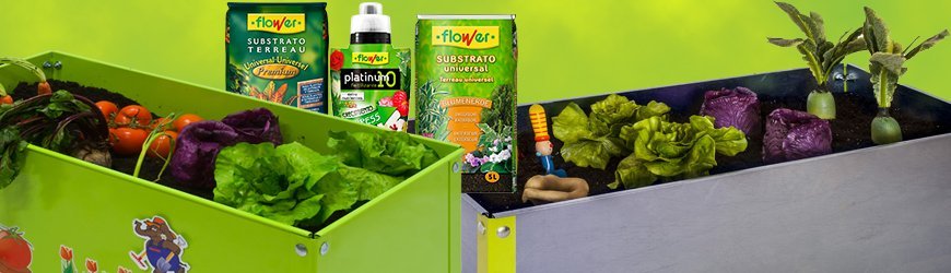 Städtischer Garten Und Home-Kits online