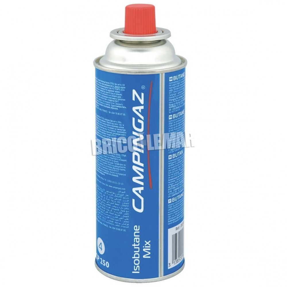 2 Bouteilles de gaz CampinGaz Butane (Pleines) 