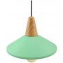 Plaque verte lampe suspendue E27 Bois-CGC Evolution