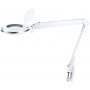 lentille de lampe de table LED 3x 8W 6000K 760Lm collier blanc GSC Evolution