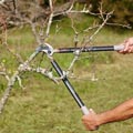 pruning tools prices