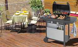 camping gas barbecue Price