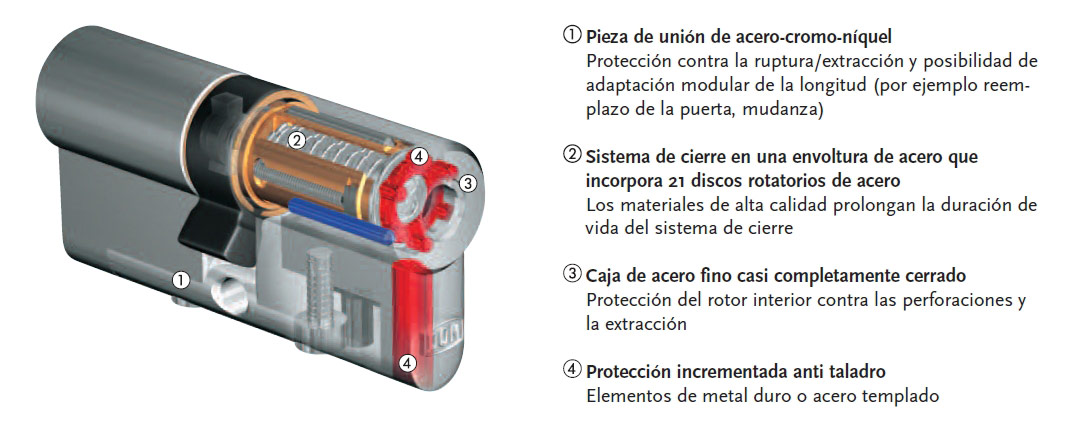 Vegetación Masaje concepto ▷ Bombin DOM Diamant | Bricolemar