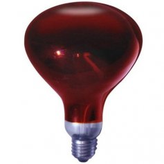 E27 250W lampada a raggi infrarossi EVOLUZIONE GSC