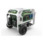 Gas e benzina generatore 3000W 230V Natura 3000 E-Start Genergy