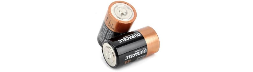 D-batterijen (LR20) online