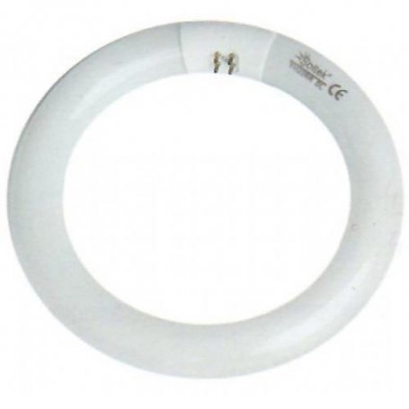 CIRCULAR tubo fluorescente de 40W T9 G10q GSC EVOLUTION