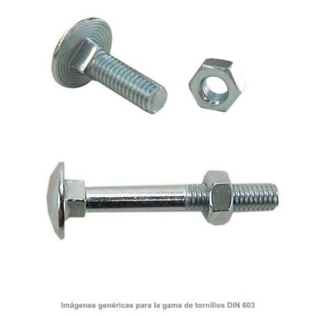 black screw DIN-603 with 10x40mm galvanized hex nut (100 housing units) GFD