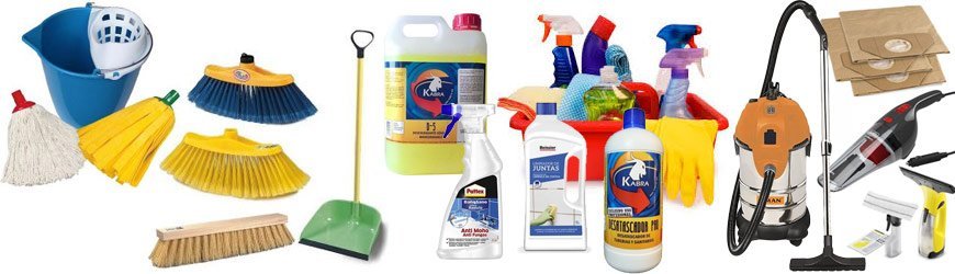 Cleaning online shop