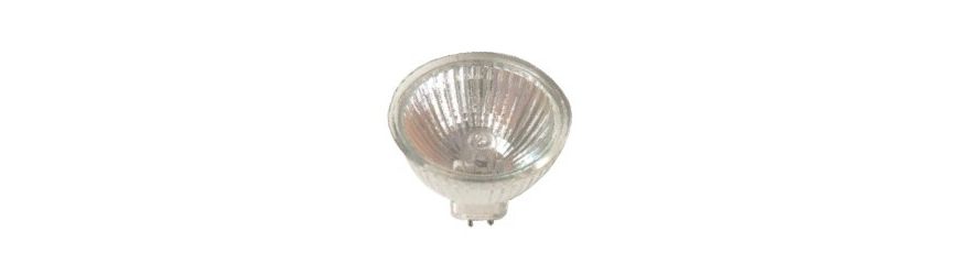 Halogen Lamps online shop