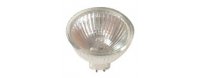 Halogen Lamps