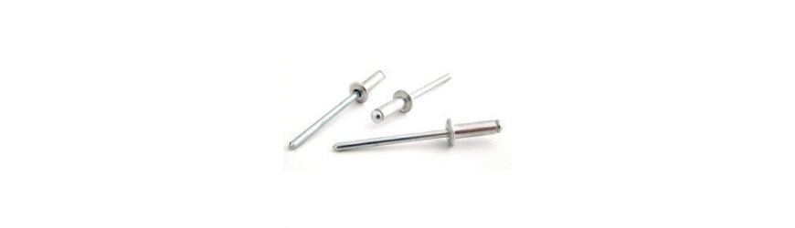 Standard Pan Head Rivet online shop