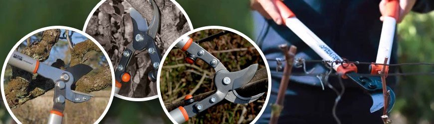 Two-hand Pruning Shears online shop